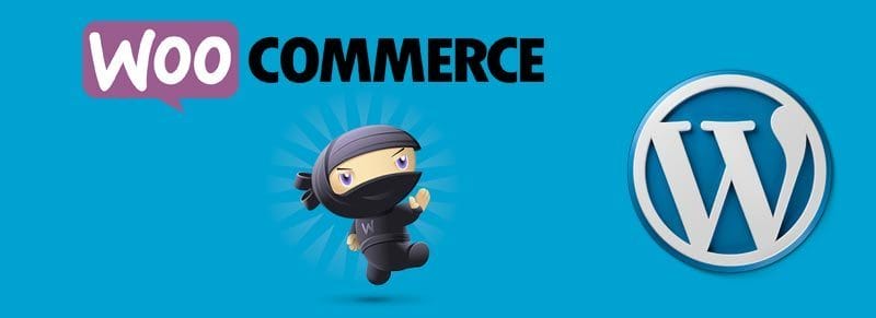 Change Woocommerce default user Role